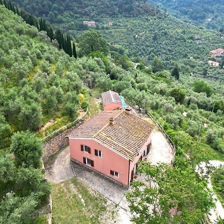 Olive House Tuscany - Zona Pisa Calci Exterior photo