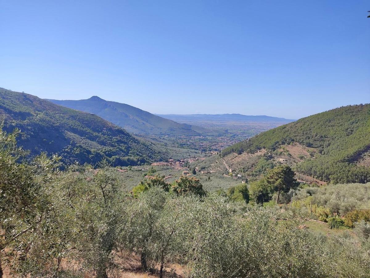 Olive House Tuscany - Zona Pisa Calci Exterior photo