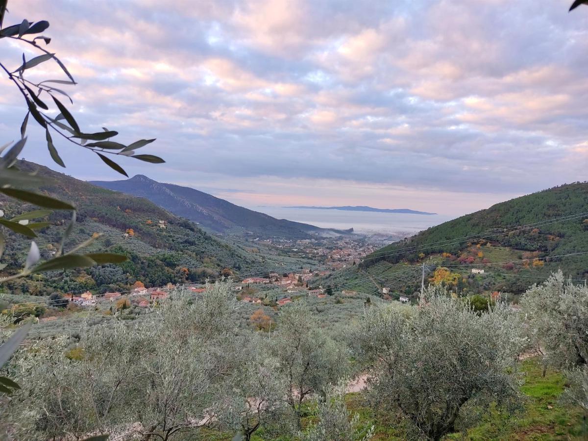 Olive House Tuscany - Zona Pisa Calci Exterior photo