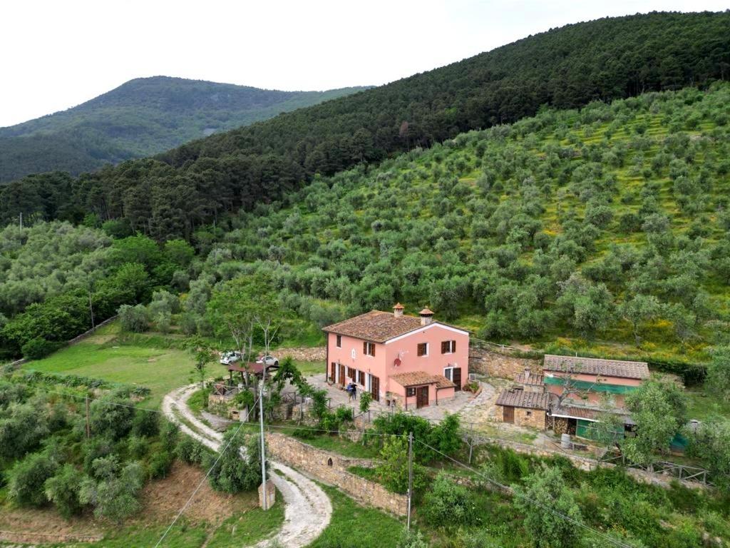 Olive House Tuscany - Zona Pisa Calci Exterior photo