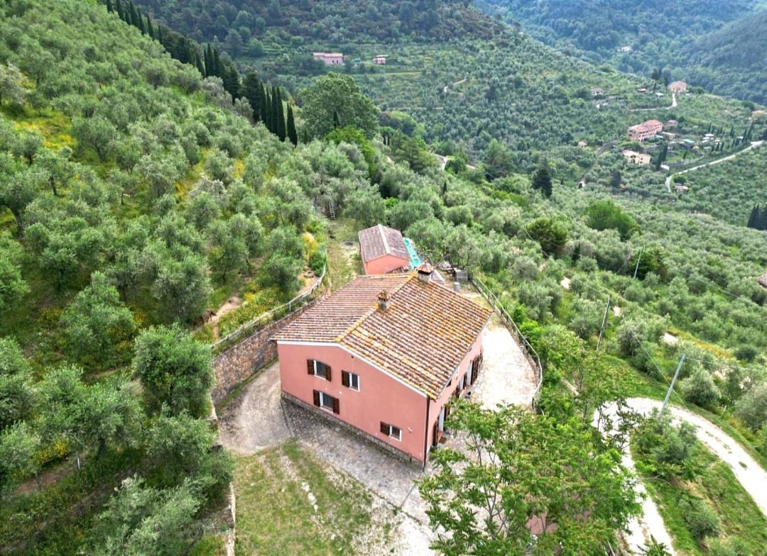 Olive House Tuscany - Zona Pisa Calci Exterior photo